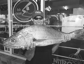 Mick Wall with a 9.2kg jewfish that snaffled a Gulp 2” Shrimp intended for a flathead. 